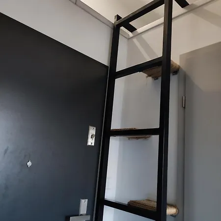 Ceglany Kosciuszki 133 アパート